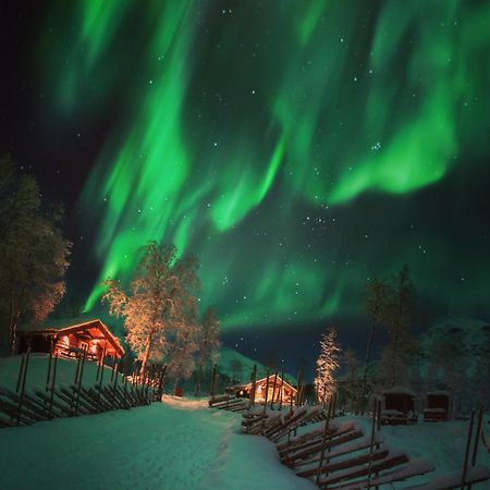 Bardu Huskylodge Dış mekan fotoğraf