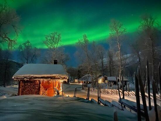 Bardu Huskylodge Dış mekan fotoğraf