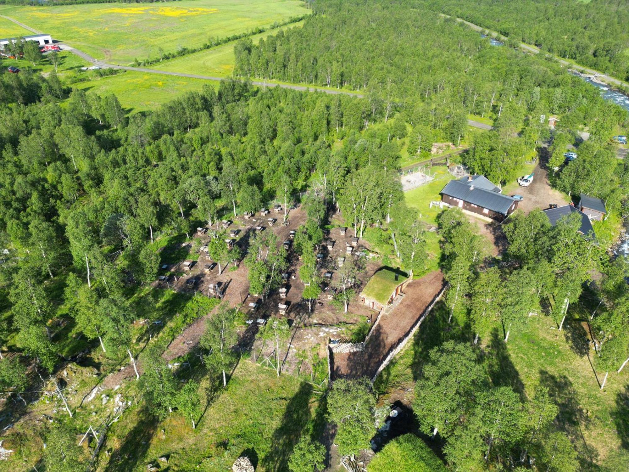 Bardu Huskylodge Dış mekan fotoğraf