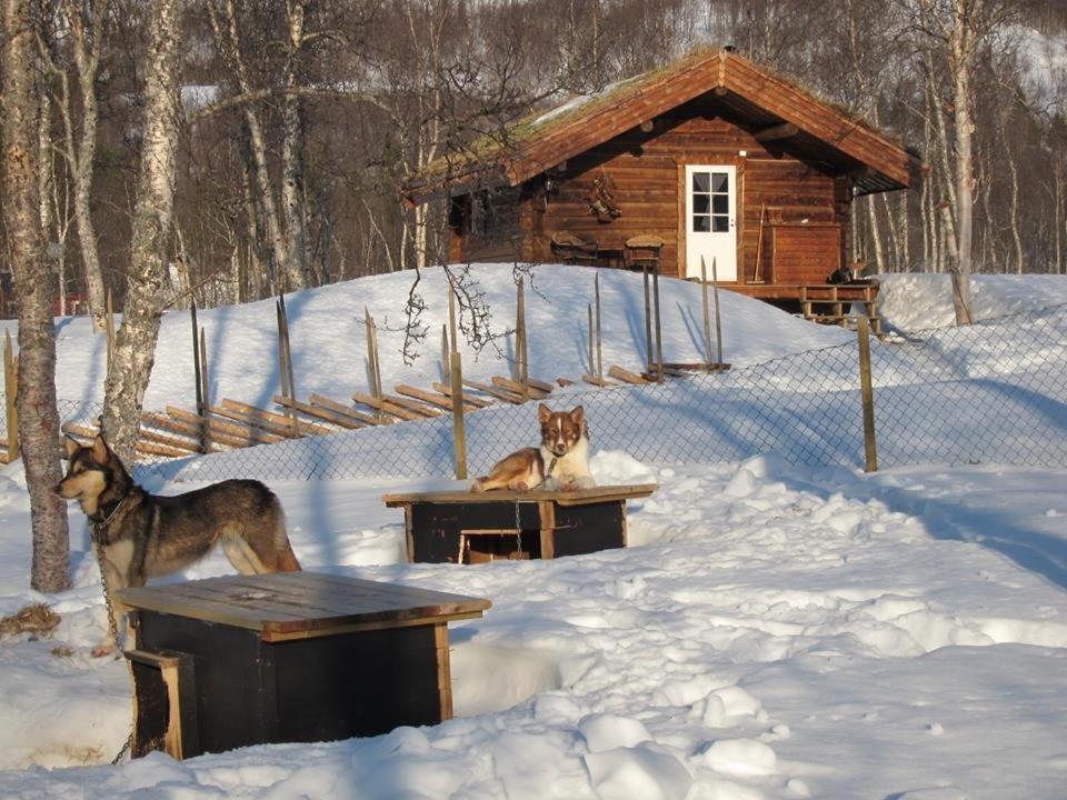 Bardu Huskylodge Dış mekan fotoğraf