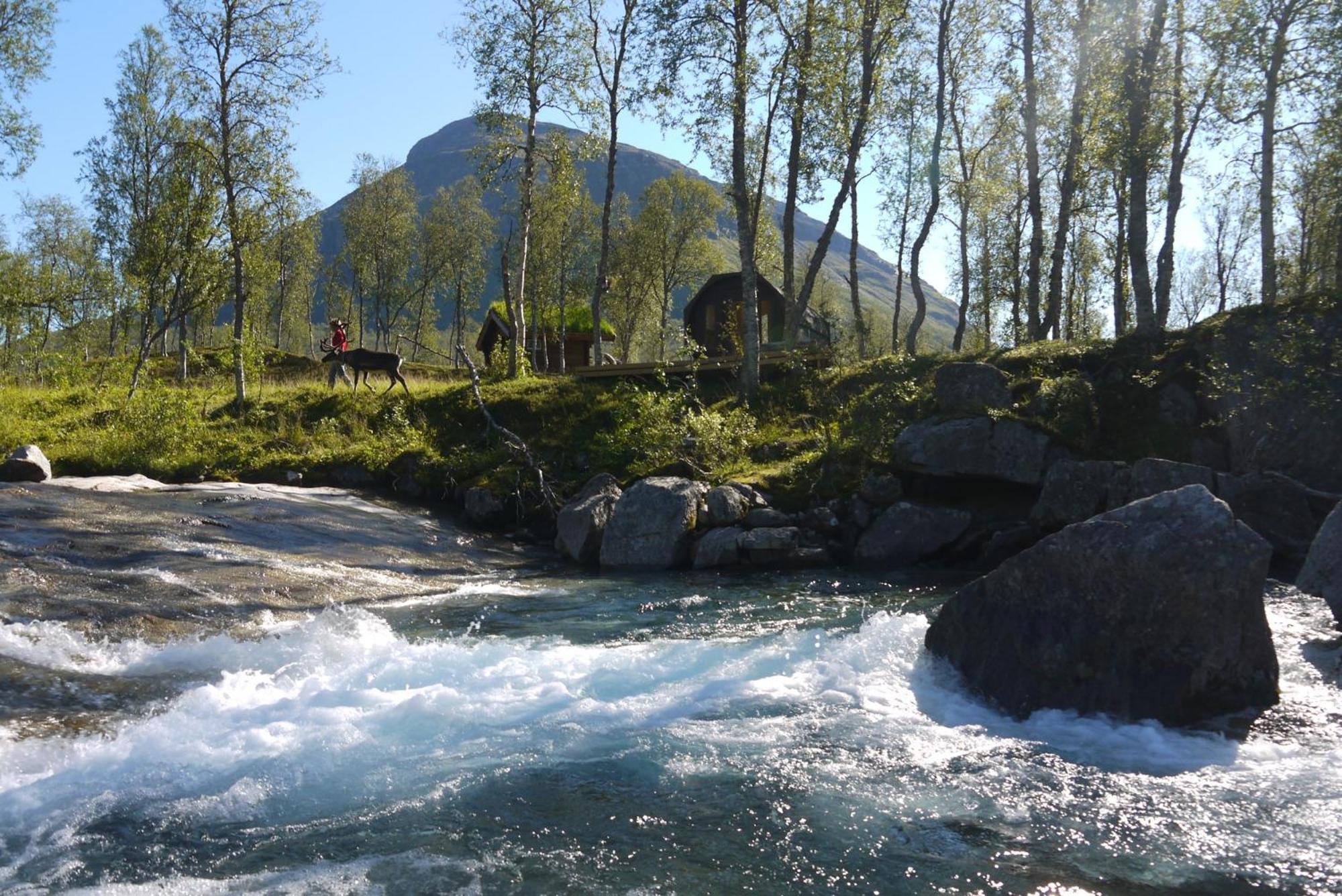 Bardu Huskylodge Dış mekan fotoğraf