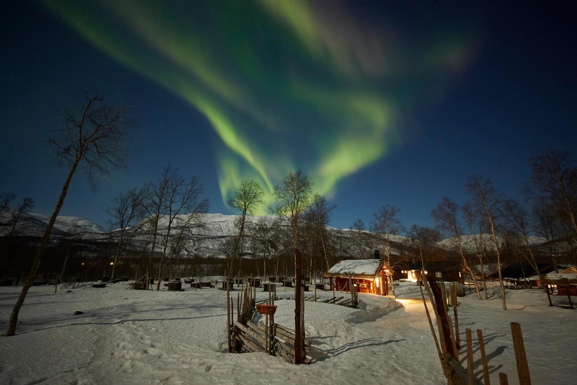 Bardu Huskylodge Dış mekan fotoğraf