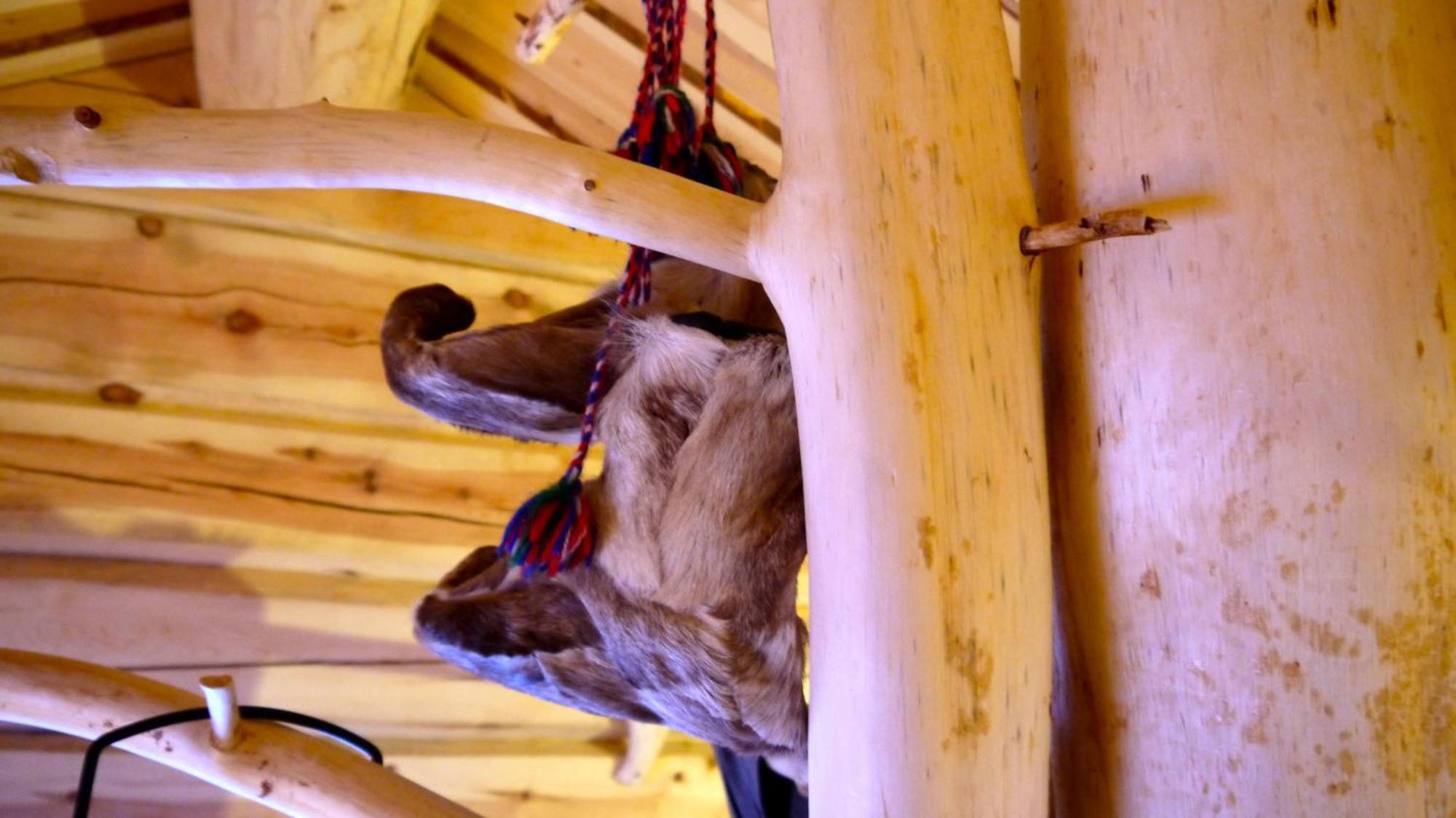 Bardu Huskylodge Dış mekan fotoğraf