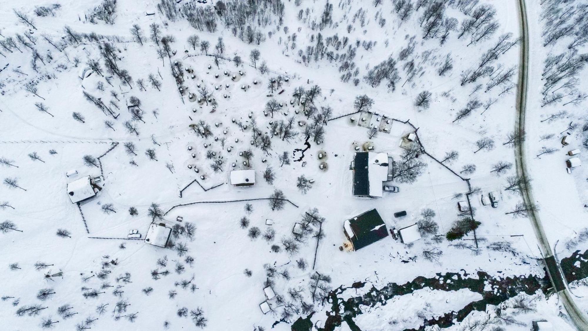Bardu Huskylodge Dış mekan fotoğraf